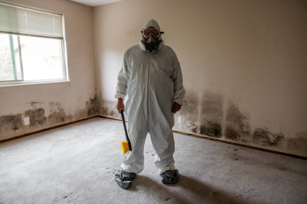 Mold Removal and Inspection in Nyack, NY